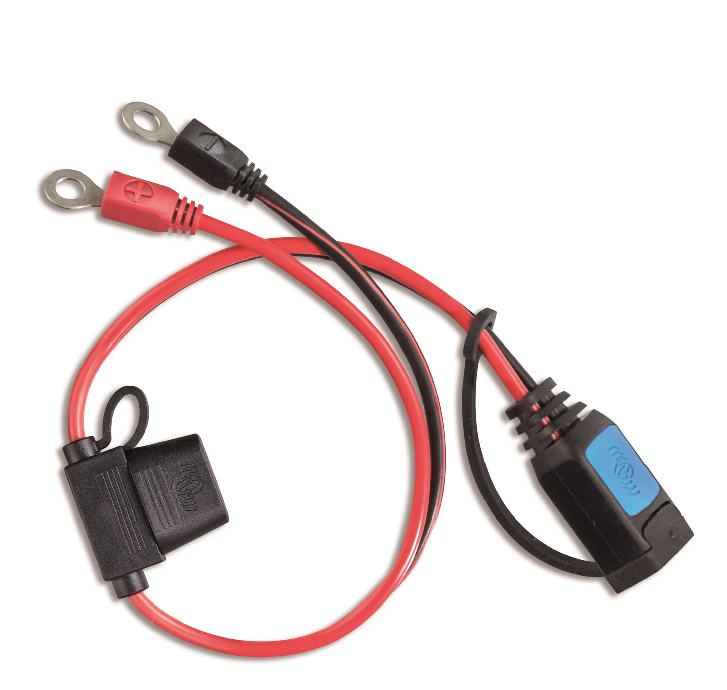 M6/M8 Eyelet Connector with 30A Fuse