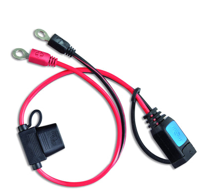 Victron M8 Eyelet Connector with 30A Fuse