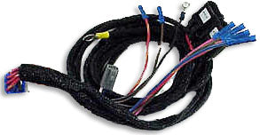 Aqualine Plus Regulator wiring harness (gasoline)