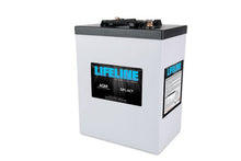 Lifeline GPL-6CT AGM Deep Cycle Battery 6V 300A-Hr